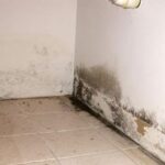schimmel-wand-vocht-lekkage-013
