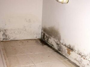 schimmel-wand-vocht-lekkage-013